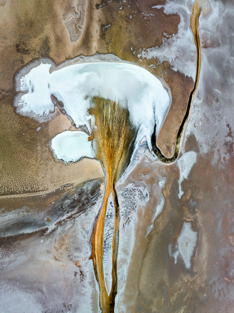Veins of salt flat II von Shenshen Dou