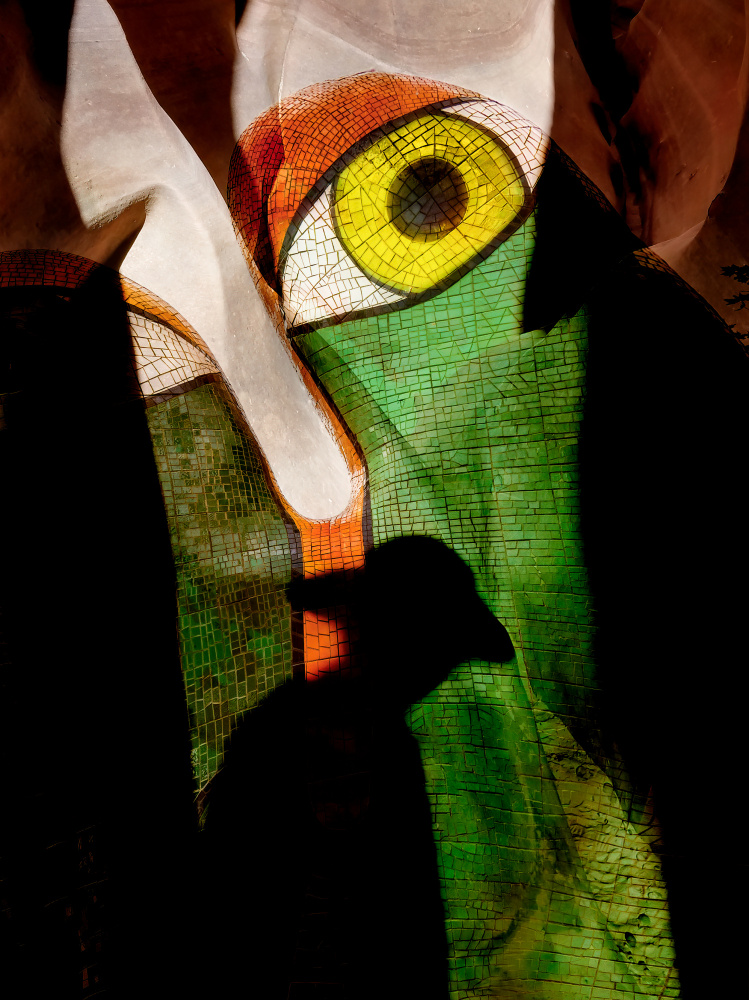 The watching eye von Shenshen Dou