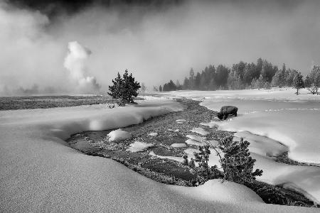 The Hardship of Winter