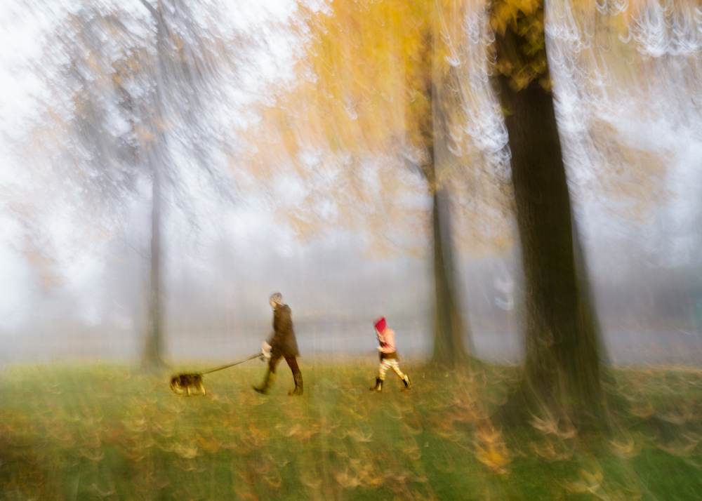 Three von Shenshen Dou