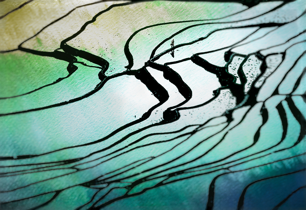 Rhythm of paddy field b von Shenshen Dou