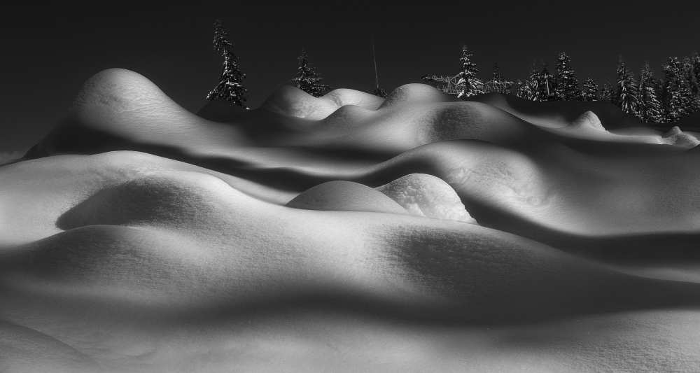 Sleeping beauties von Shenshen Dou