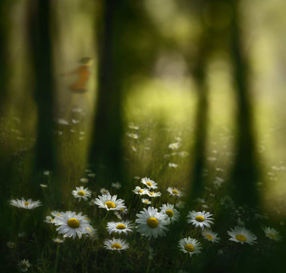 The wood where Dryad live von Shenshen Dou