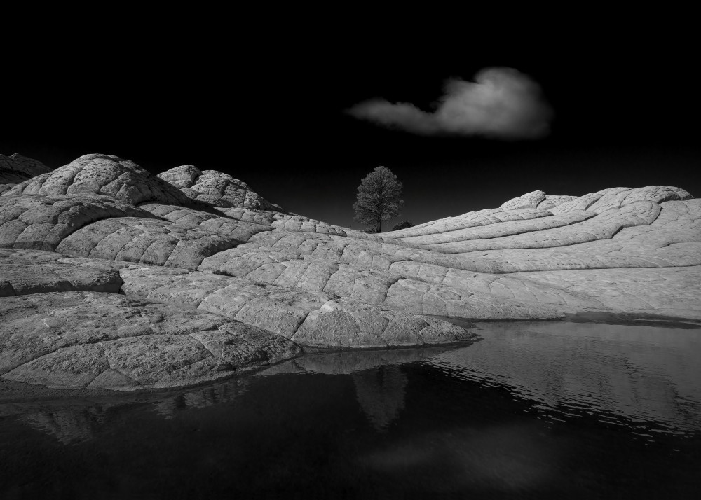 White Pocket von Shenshen Dou