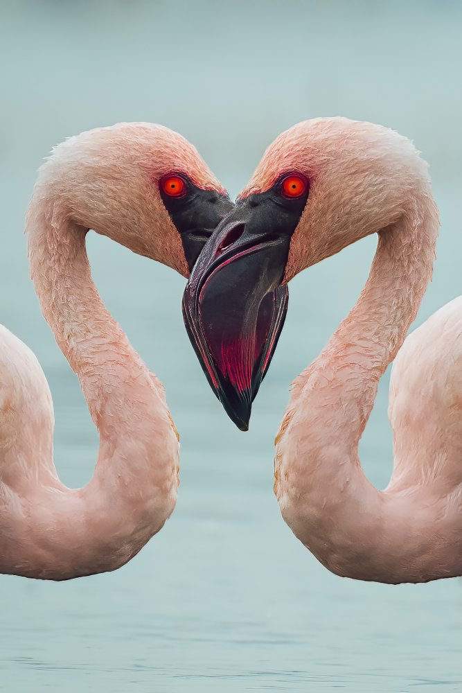 One face two eye von Sherif Abdallah