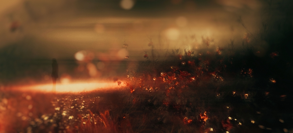 Blaze von Sherin.Abdou