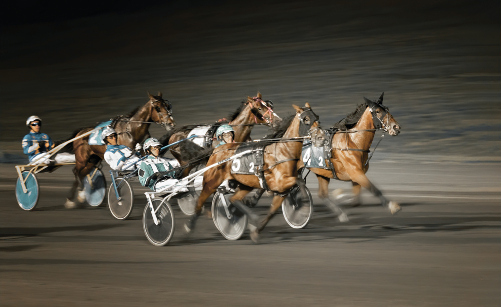 Horseracing von Shi &amp Wei