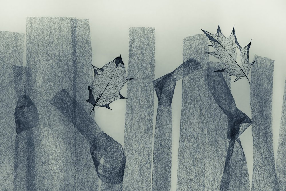 Leafs von Shihya Kowatari