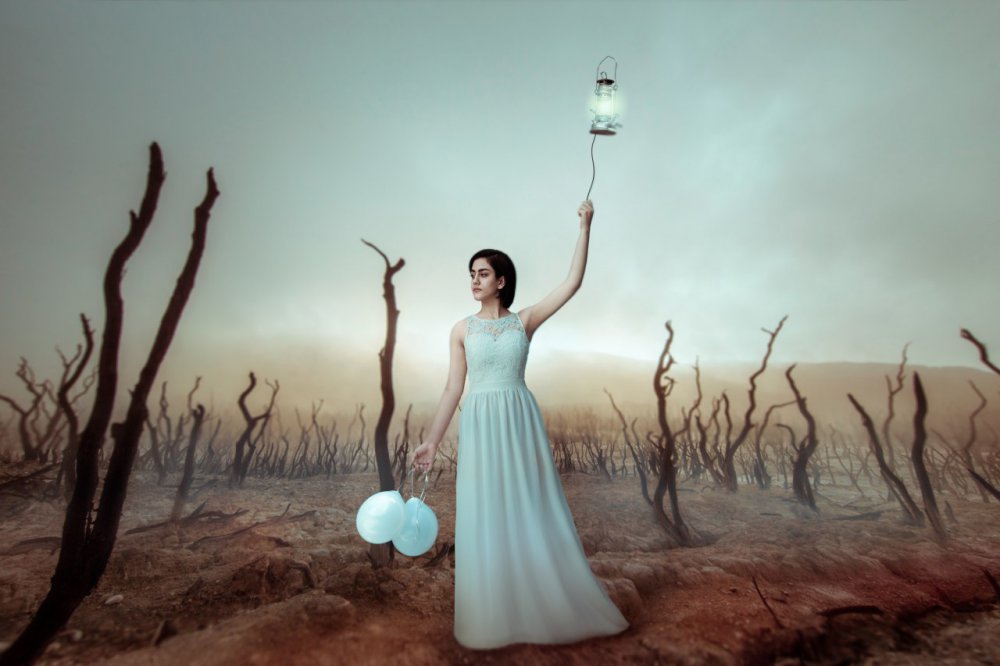 lantern von shimayadollahi