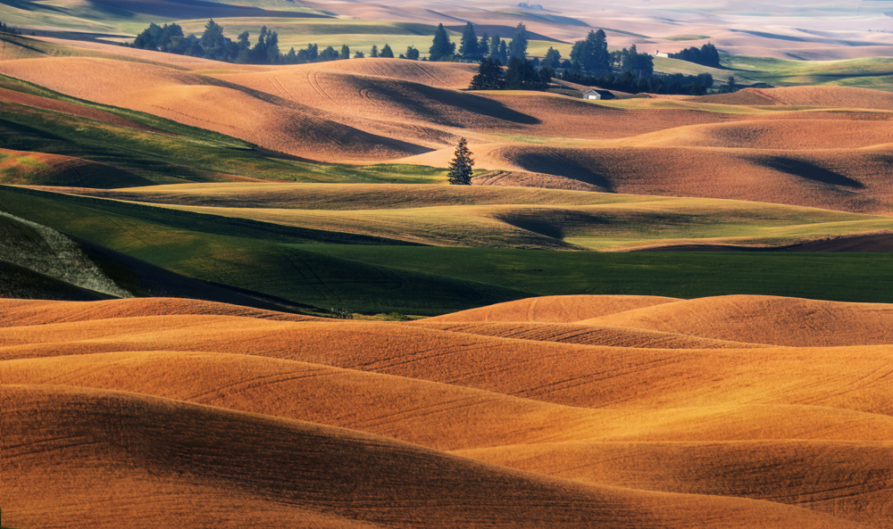 PALOUSE FIELDS von Shirley Ji