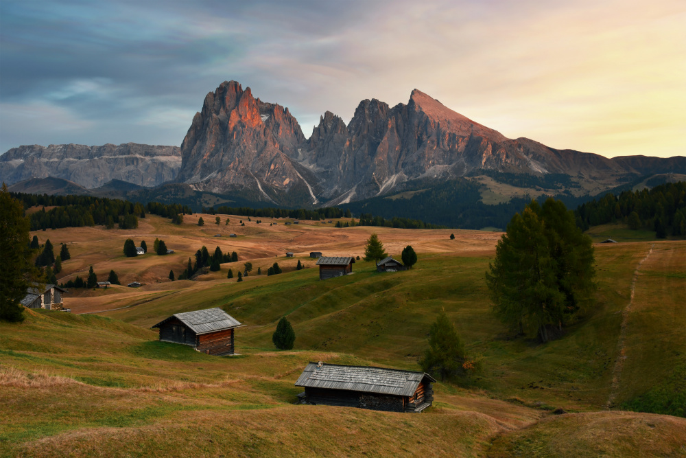 Sunset von Shirley Ji