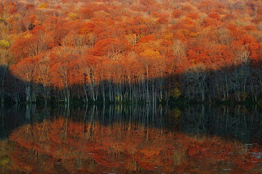 shadow fade away von Sho Shibata
