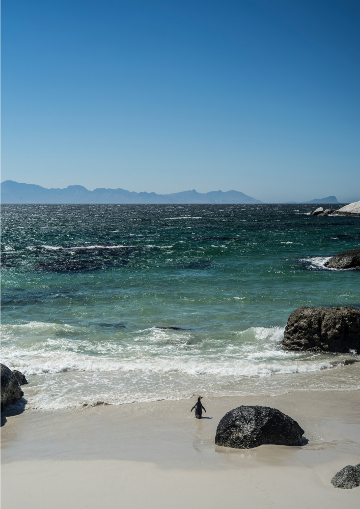 Heading Out von Shot by Clint