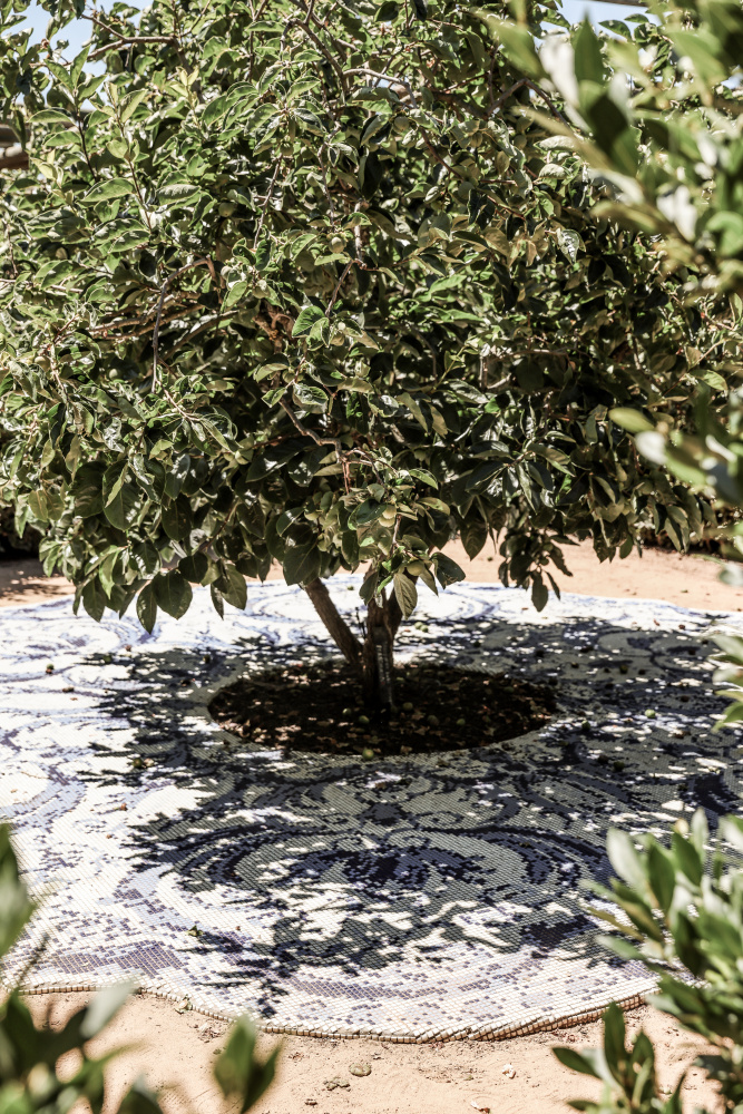 Tree Mozaic von Shot by Clint