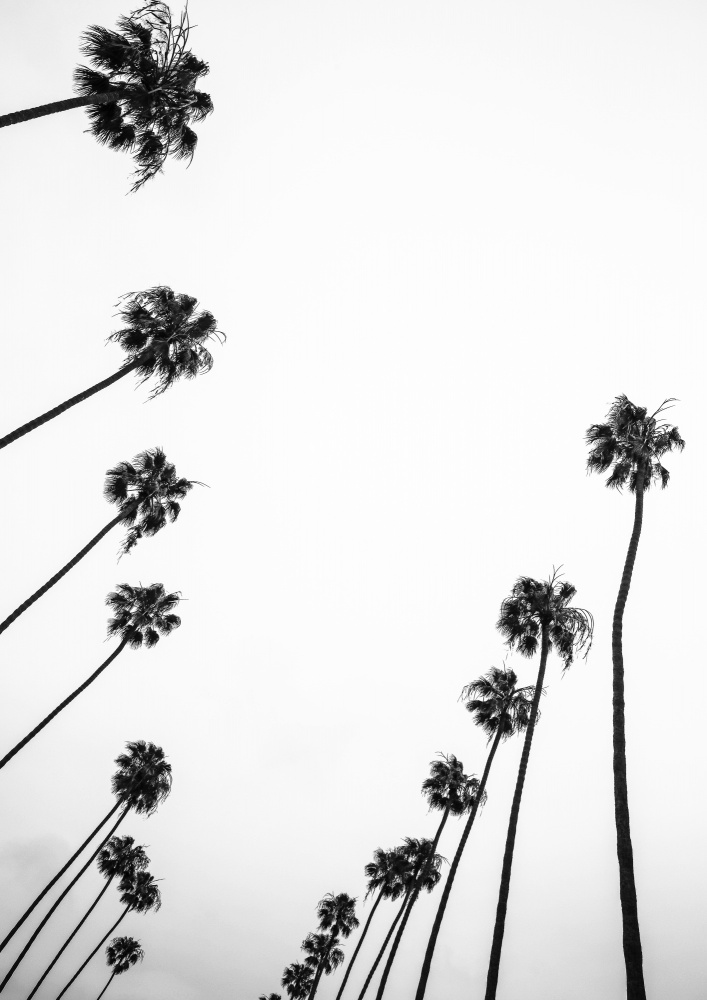 Cali Cathedrals 03 von Shot by Clint