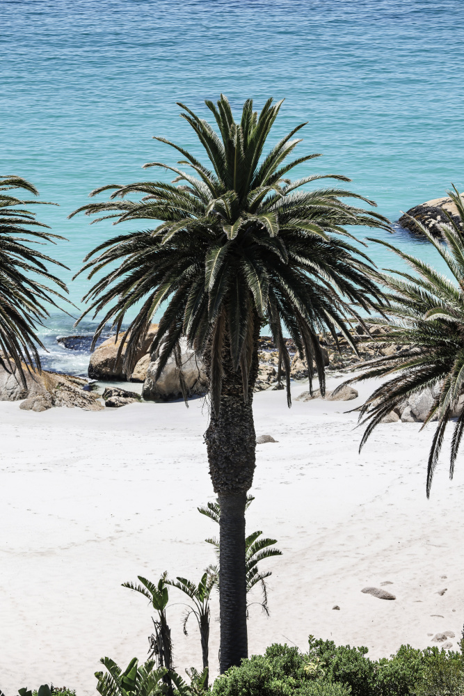 Secret Sands von Shot by Clint