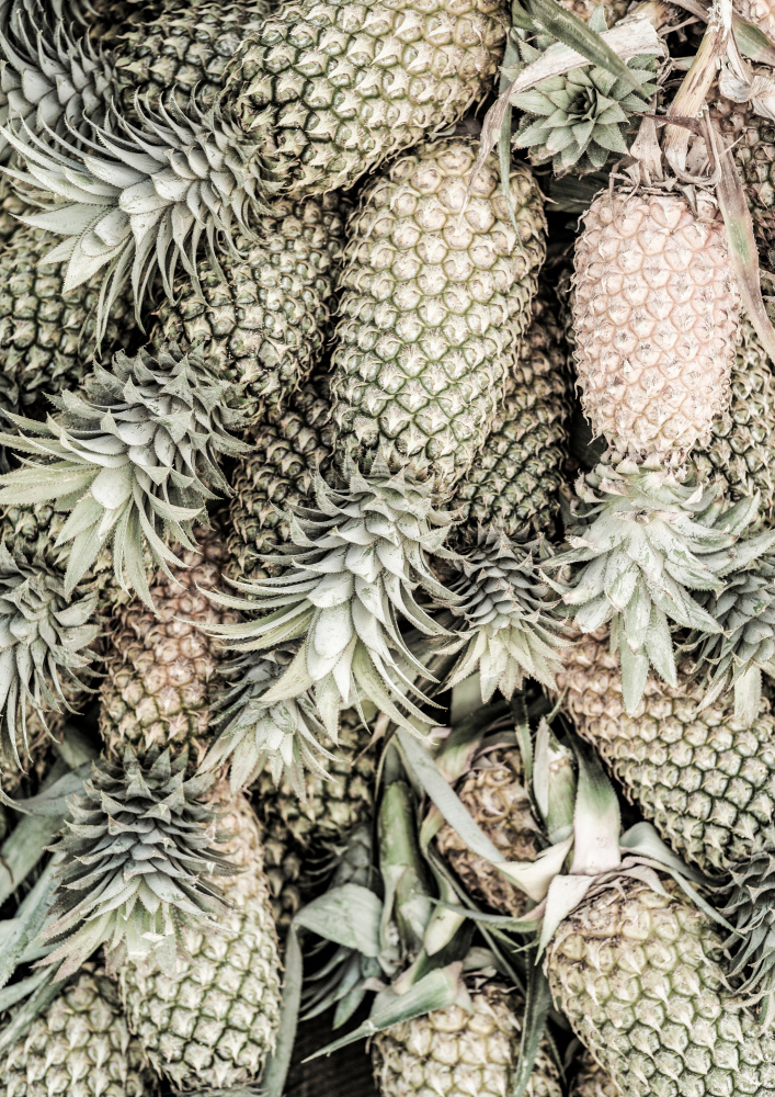 Spiced Pine von Shot by Clint