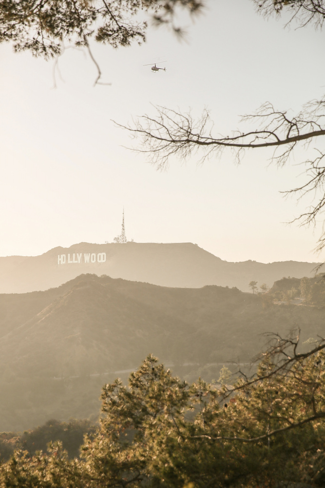 Hollywood von Shot by Clint