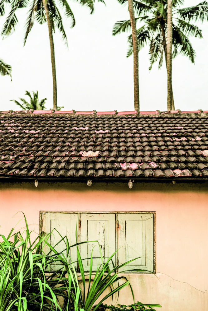 Cabin Fever von Shot by Clint