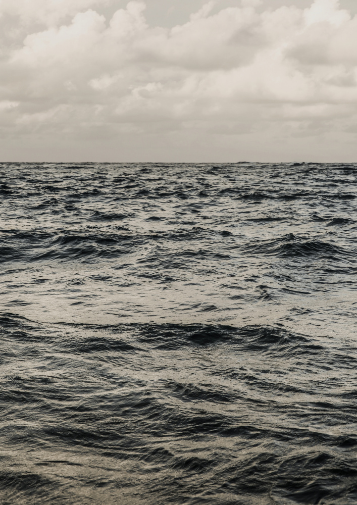 Legogo von Shot by Clint