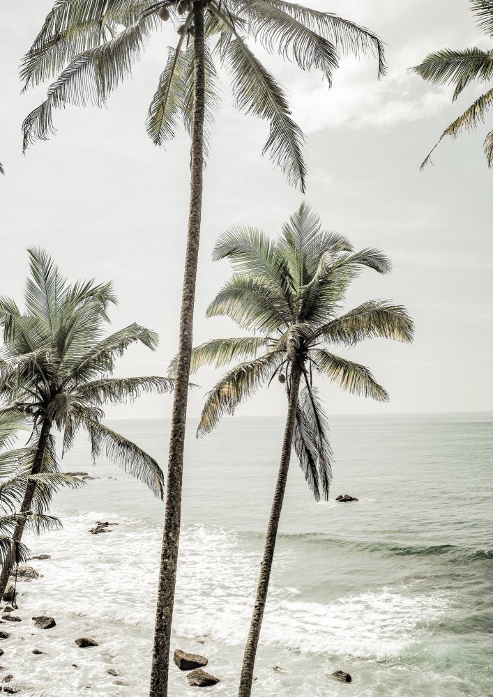 Love Her Madly von Shot by Clint