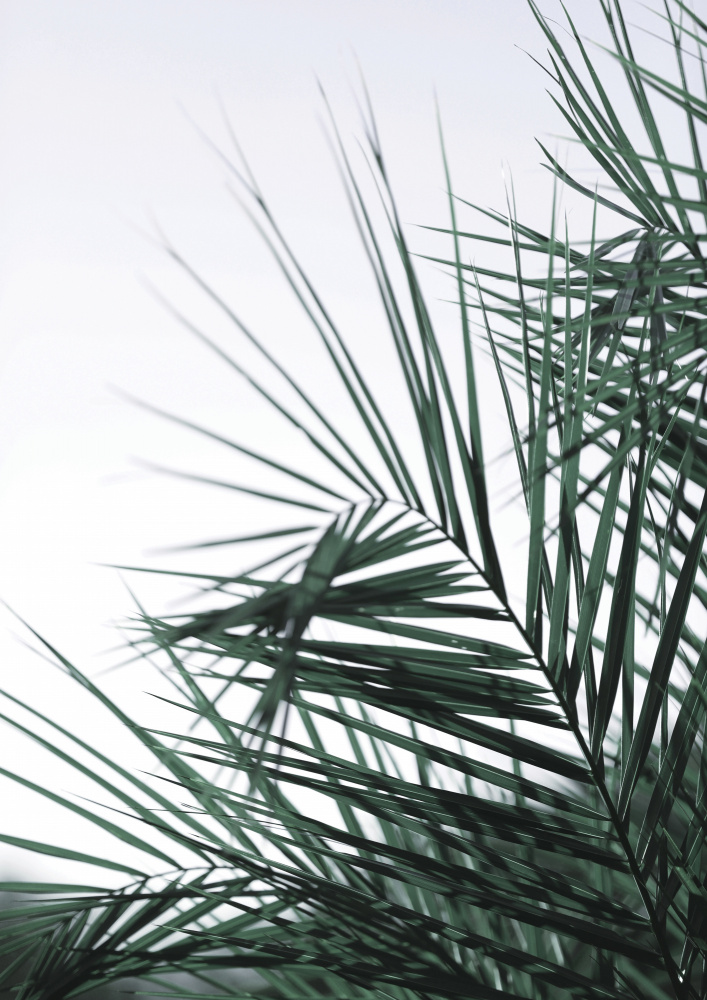 My Mint Moment 17 von Shot by Clint