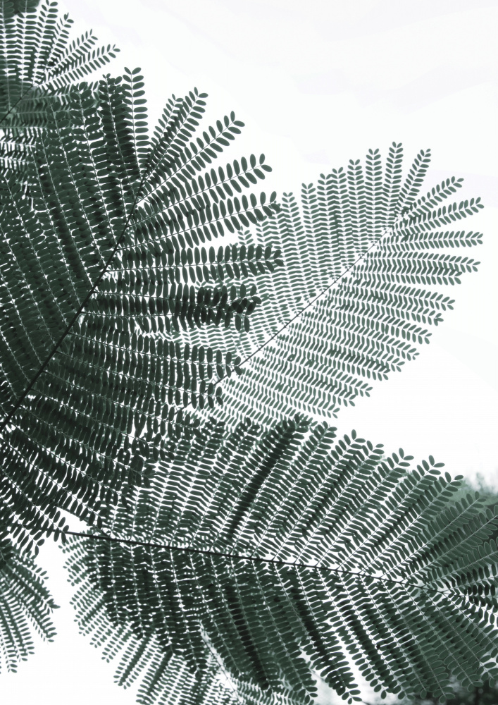 My Mint Moment 22 von Shot by Clint