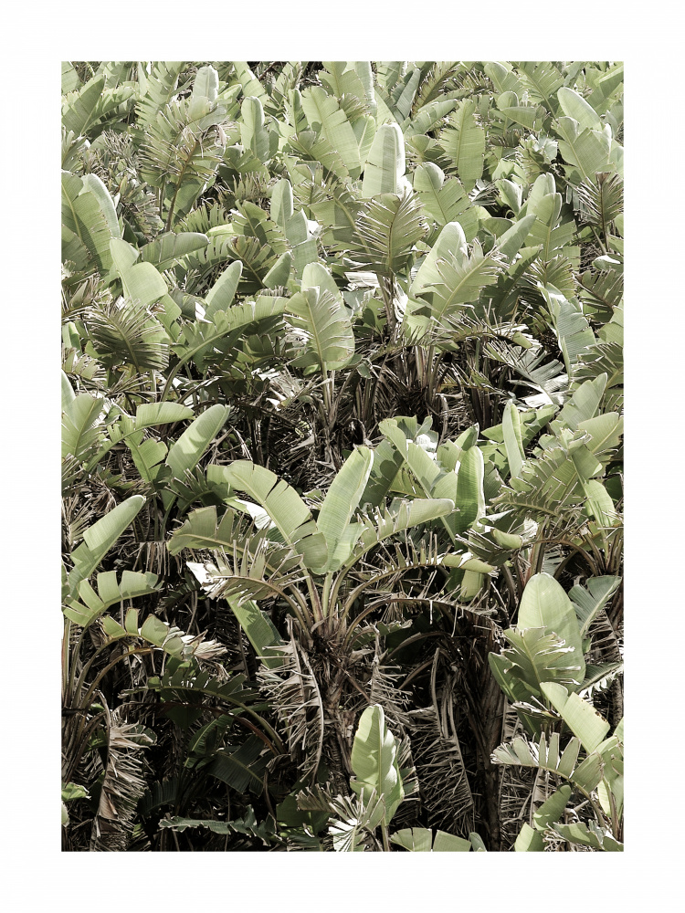 Mgazi von Shot by Clint