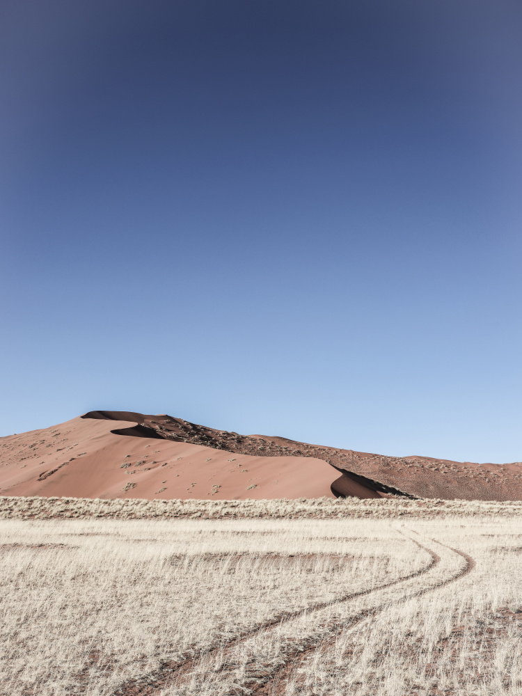 Namib One von Shot by Clint