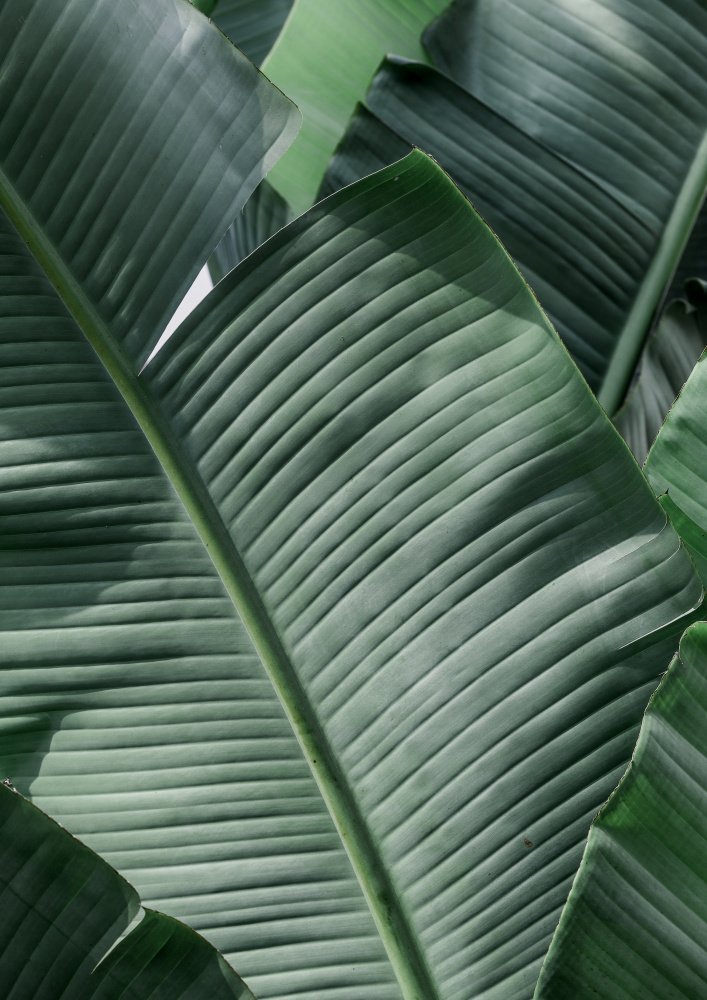 Natal von Shot by Clint