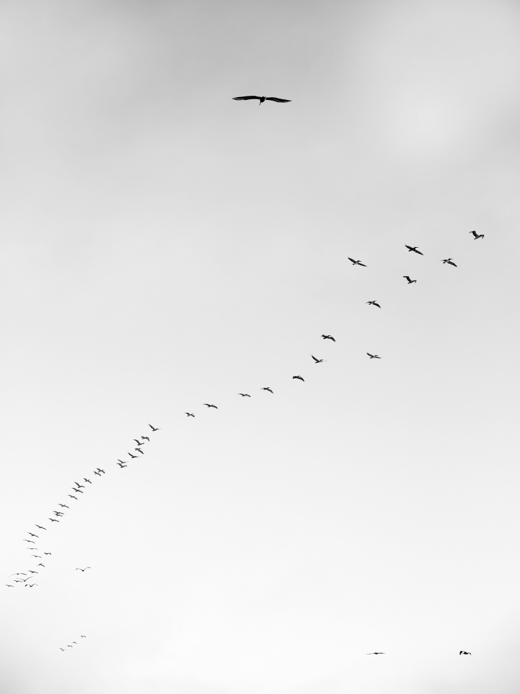 Pismo 03 von Shot by Clint