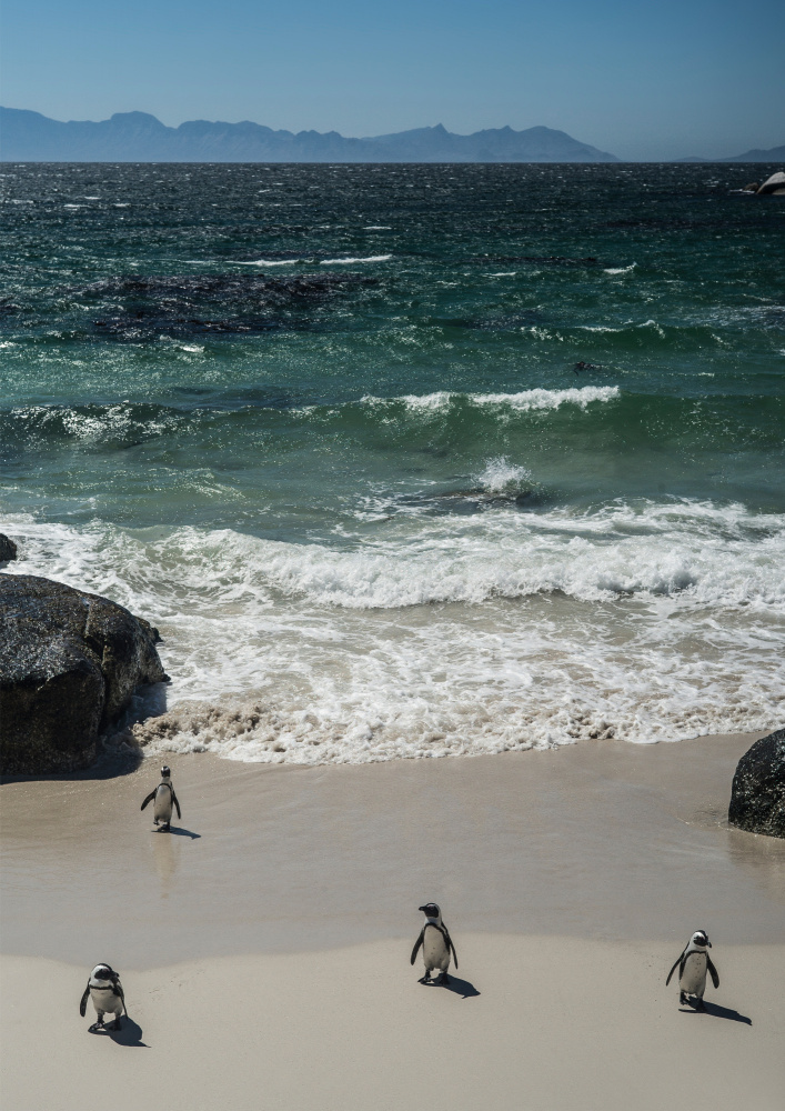 Coming In von Shot by Clint