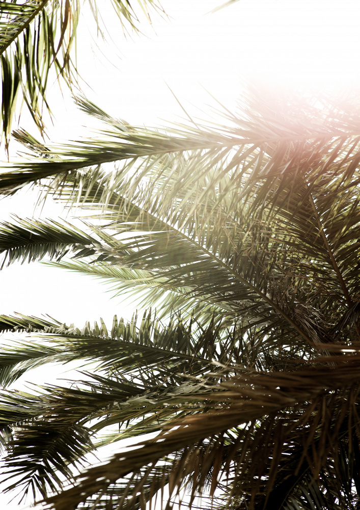 Gravity of Greenery von Shot by Clint