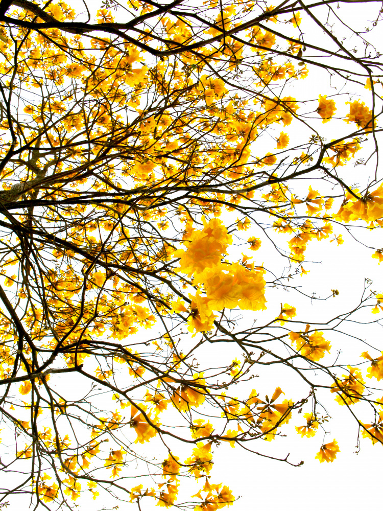 Summer von Shot by Clint