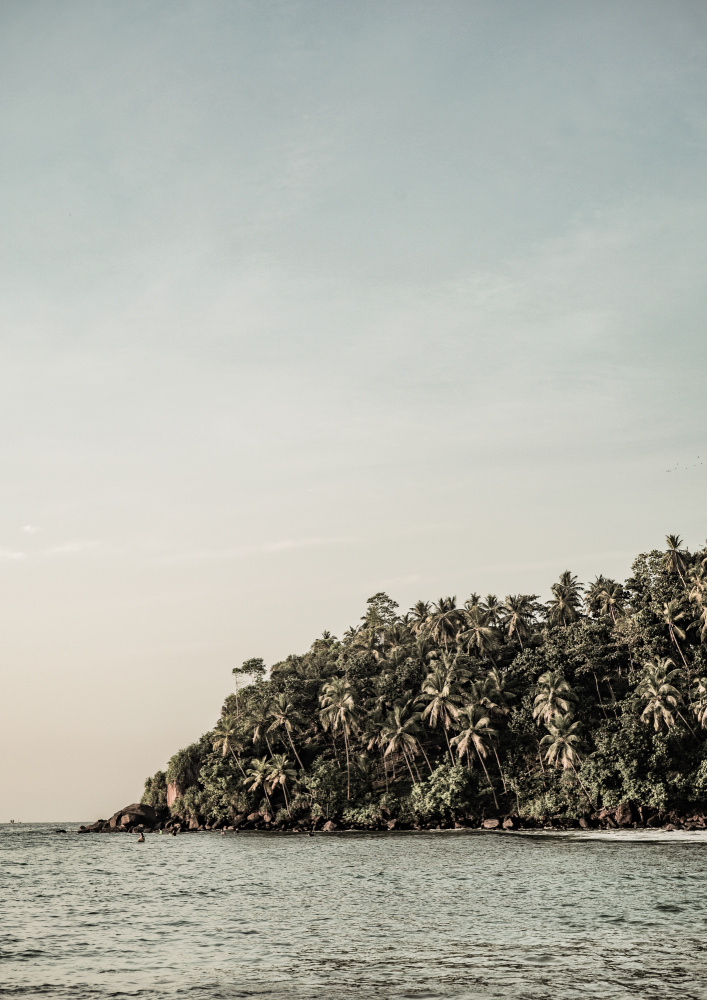 Sunshine Stories von Shot by Clint