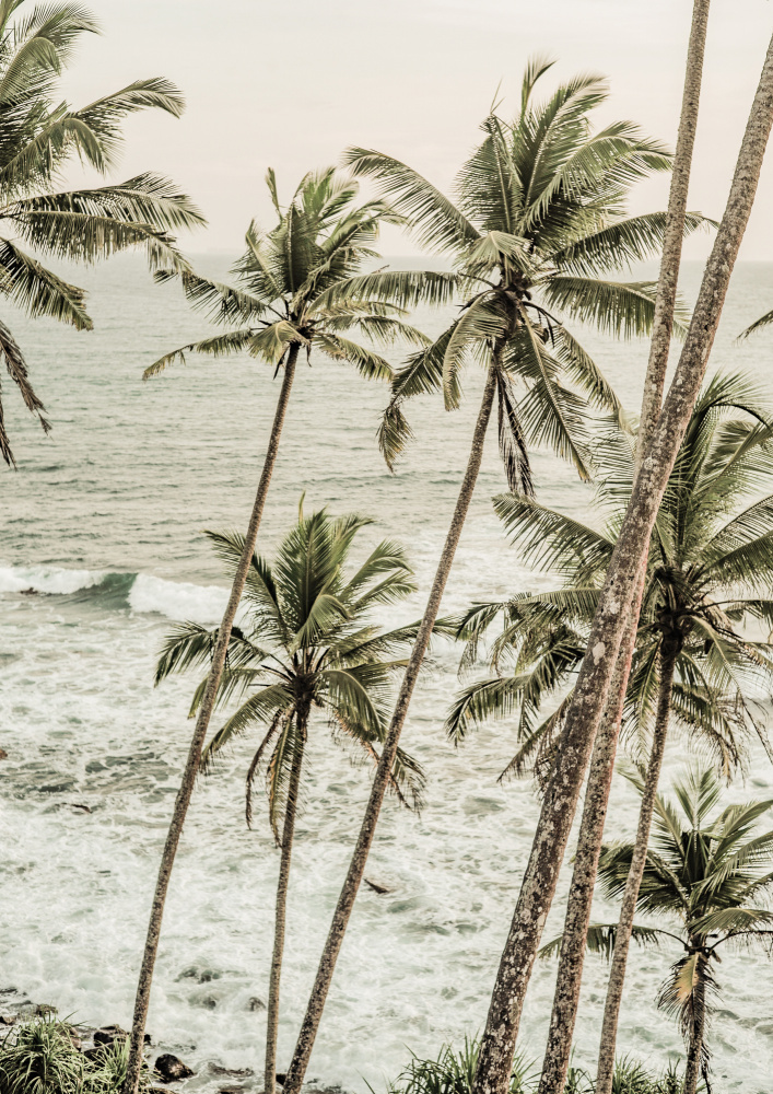 Deep Dream von Shot by Clint