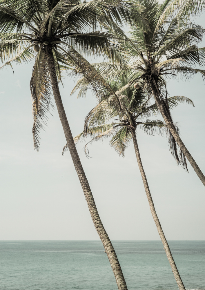 Sun Kissed von Shot by Clint