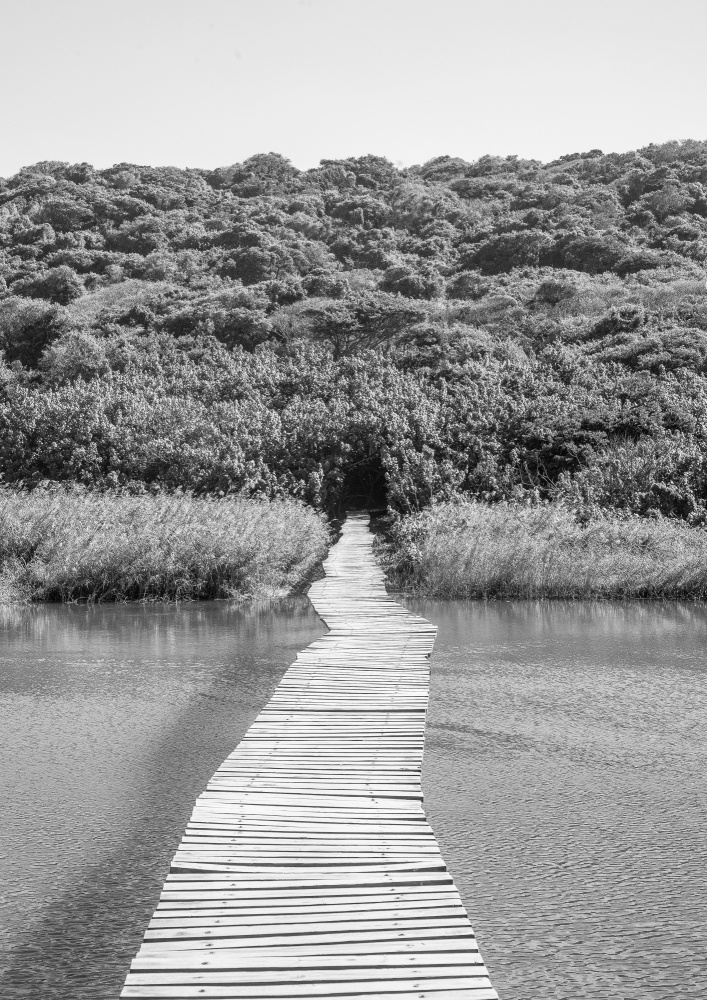 Welcome To the Jungle von Shot by Clint