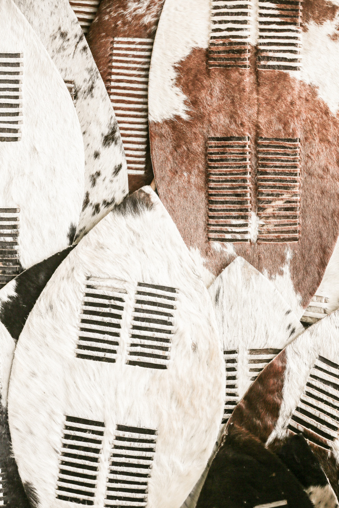 Zulu Warrior von Shot by Clint