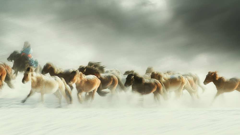 Horses gallop von Shu-Guang Yang
