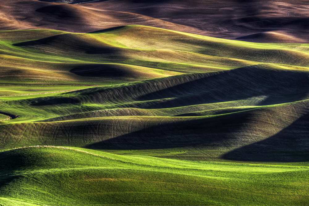 Spring Palette von Siana Smith