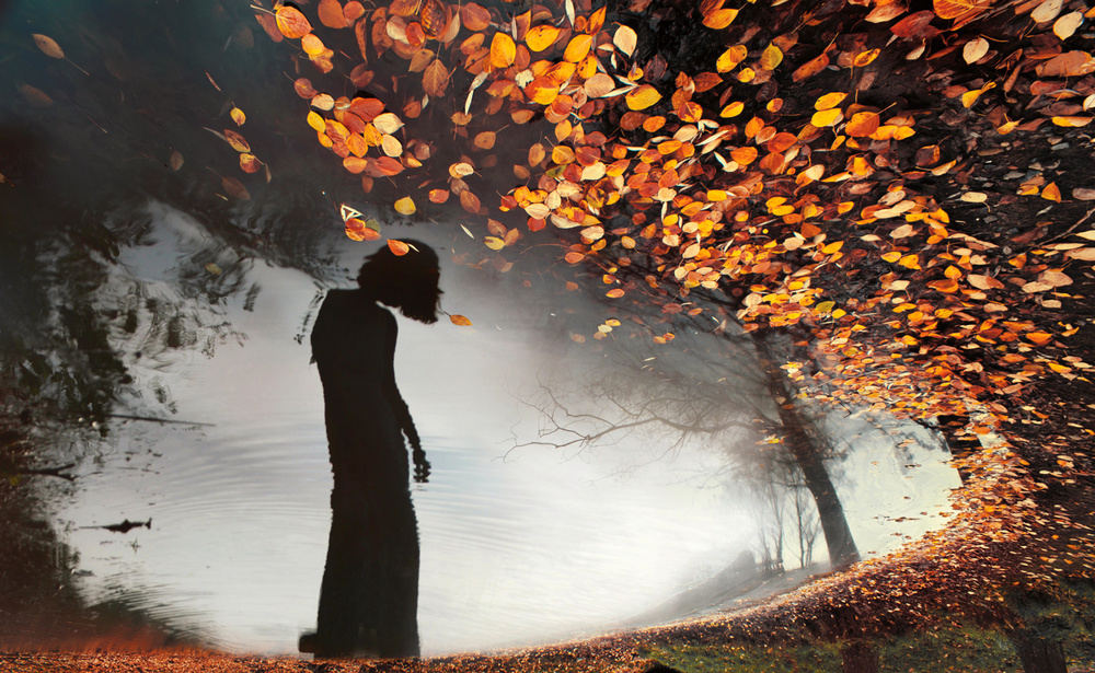 E n c h a n t e d von Siarhei Mikhaliuk *