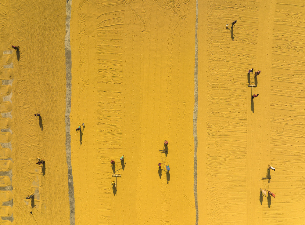 Walk and work von Sikder Mesbahuddin Ahmed