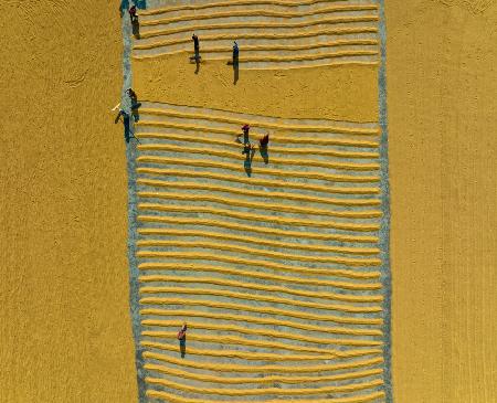 Pattern maker in a Rice Mill