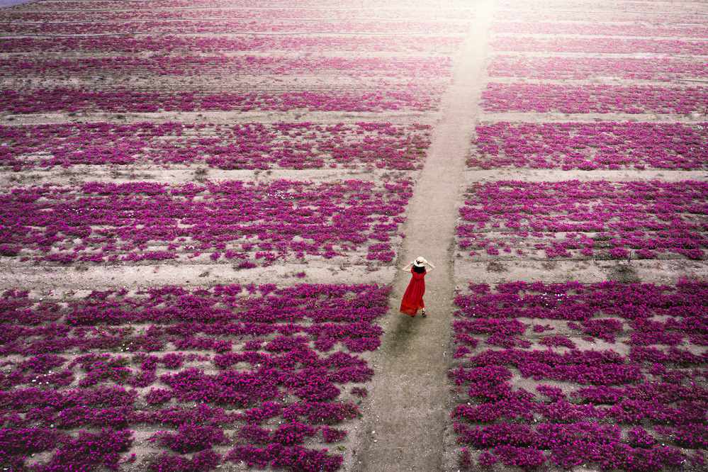 power to open the way in the future. von silkandfire