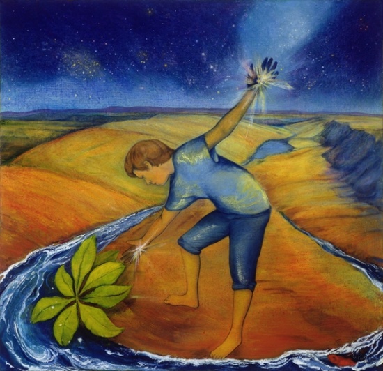 Star Seeds von Silvia  Pastore