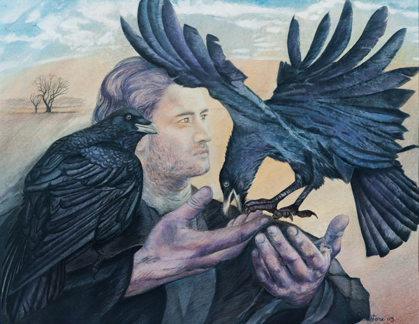 Odins Messengers von Silvia  Pastore