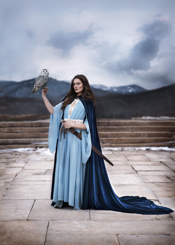 Bird von Sima Bivolarska