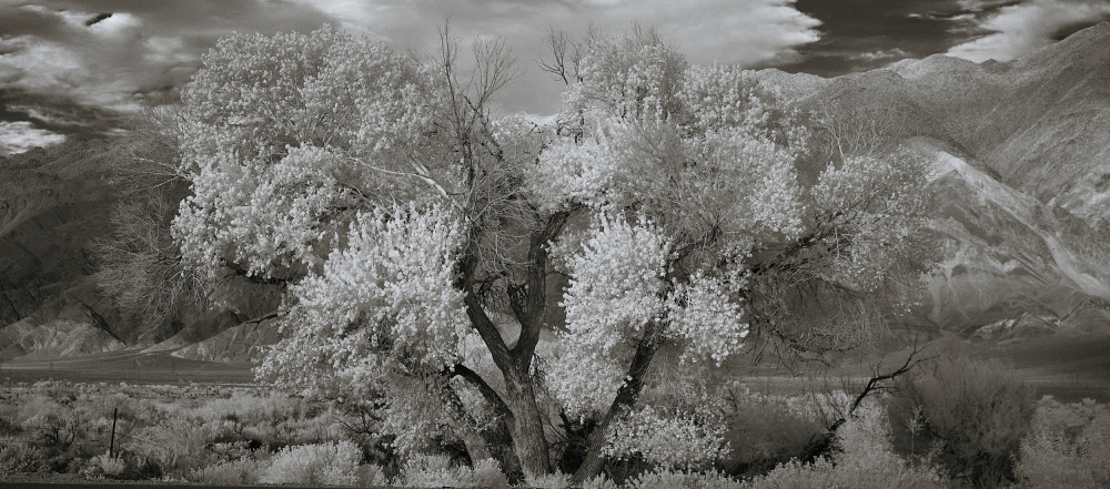 Landslide Survivor von Simon ChengLu