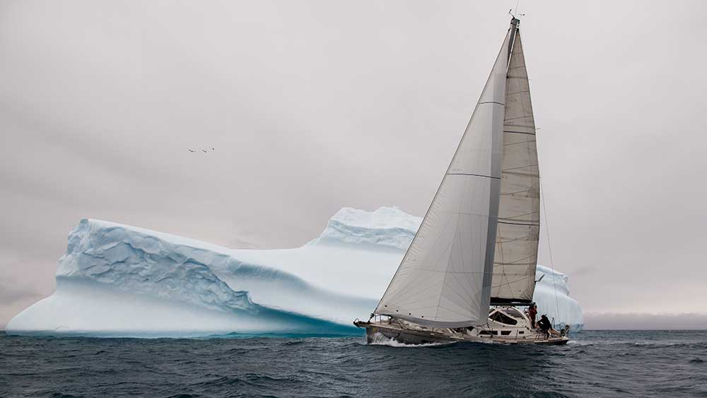 Vereist von Simon Delvoye